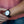 Atlas Ebony | Wood Watch Leather Band Watches Grain and Oak