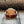 Atlas Maple | Wood Watch Leather Band Watches Grain and Oak
