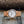 The Classic Maple | Set of 6 Groomsmen Watches Grain and Oak